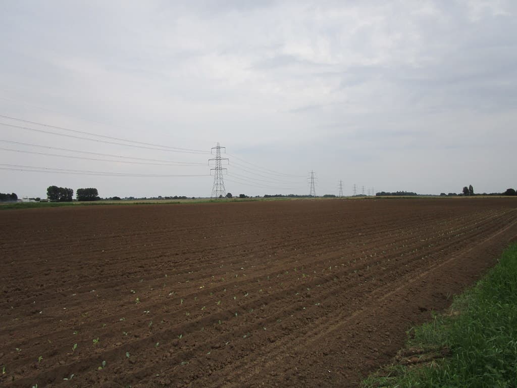 Torres eléctricas en un campo